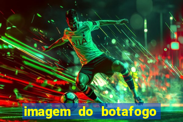 imagem do botafogo zuando o palmeiras